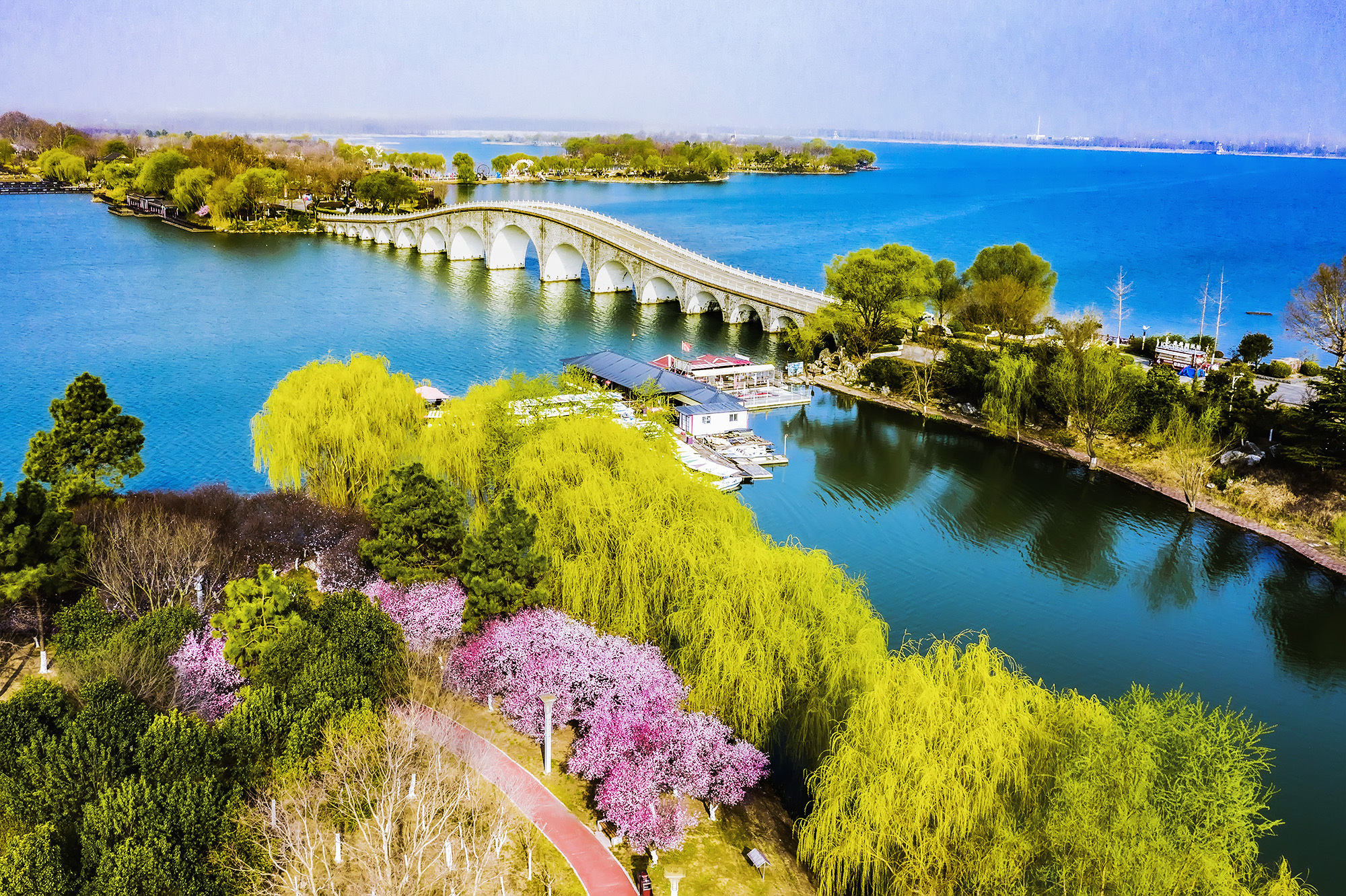 视觉江苏丨连云港东海:双湖湿地春意盎然