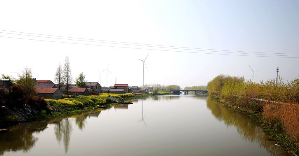 视觉江苏丨扬州宝应广洋湖:水乡泼绿 油画田园